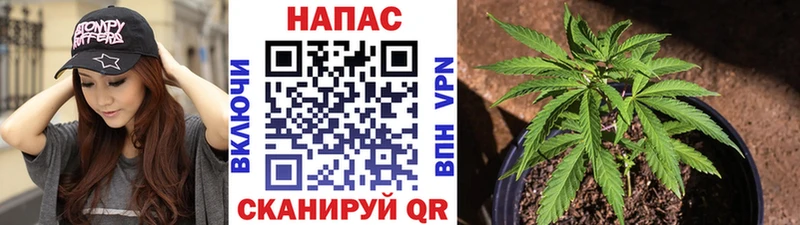 A PVP Сенгилей