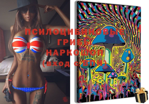дурь Аркадак