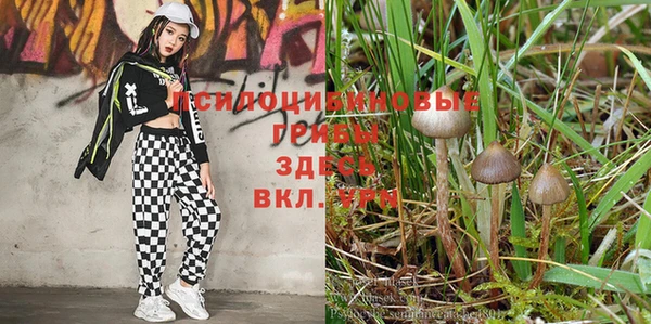 МДМА Покачи