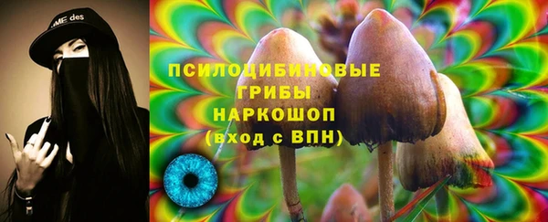 дурь Аркадак